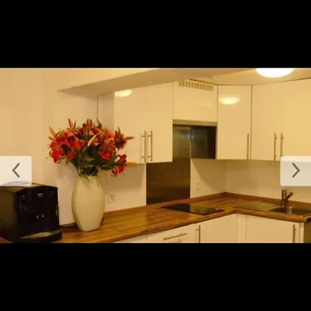 Apartment Zuerich City * Curych