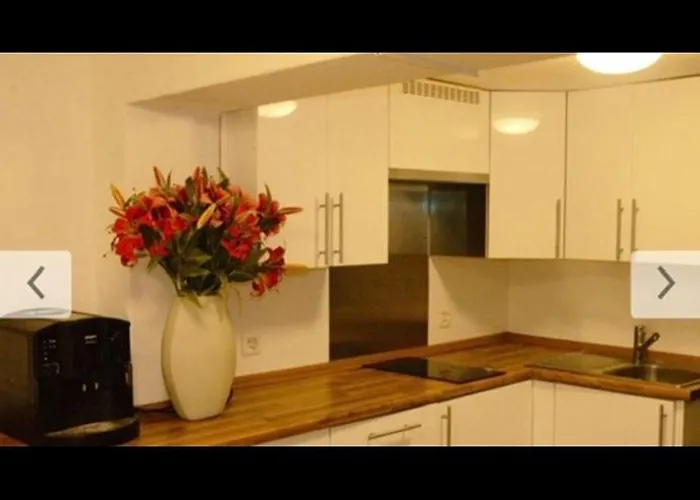 Apartment Zuerich City * ציריך