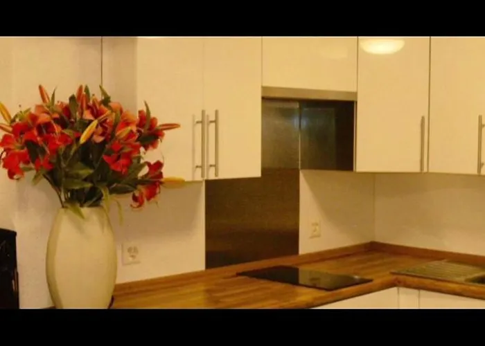 דירה Apartment Zuerich City ציריך