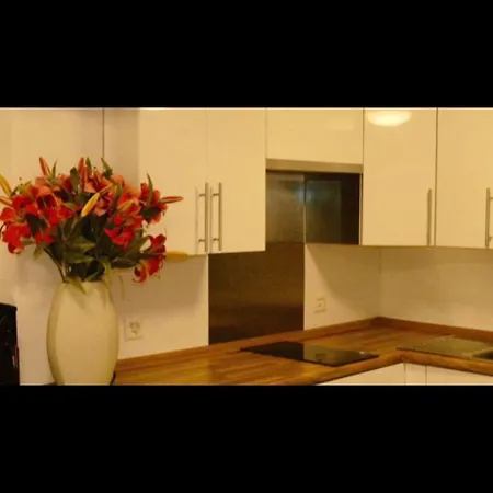 Apartment Apartment Zuerich City Zurich